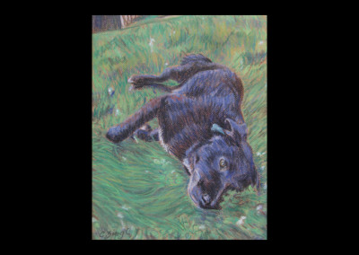 dog,~18"x24",pastel, framed