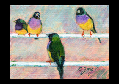 4 colorful birds, 8"x6"