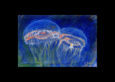 2 jellyfish, 6"x4"