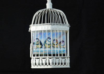 cage: 8"x14"x8"