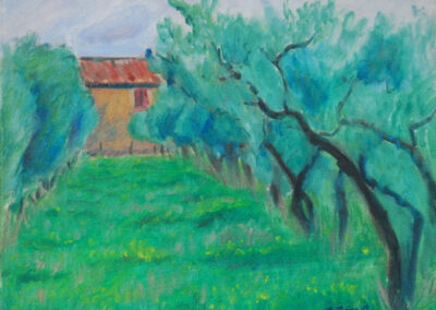 provence olive grove, 16"x12"