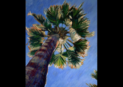 giant palm, 100x150cm