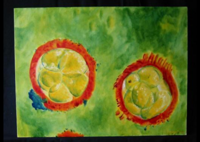 eggs #3, (approx 24x18')