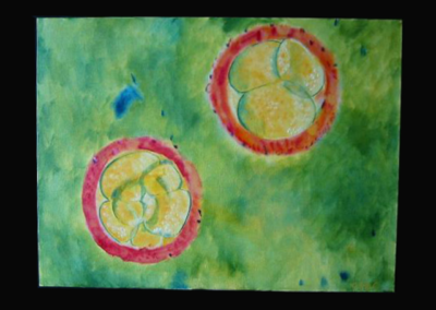 eggs #2, (approx 24x18')