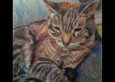 chester, pastel